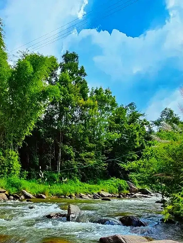 Bijanbari